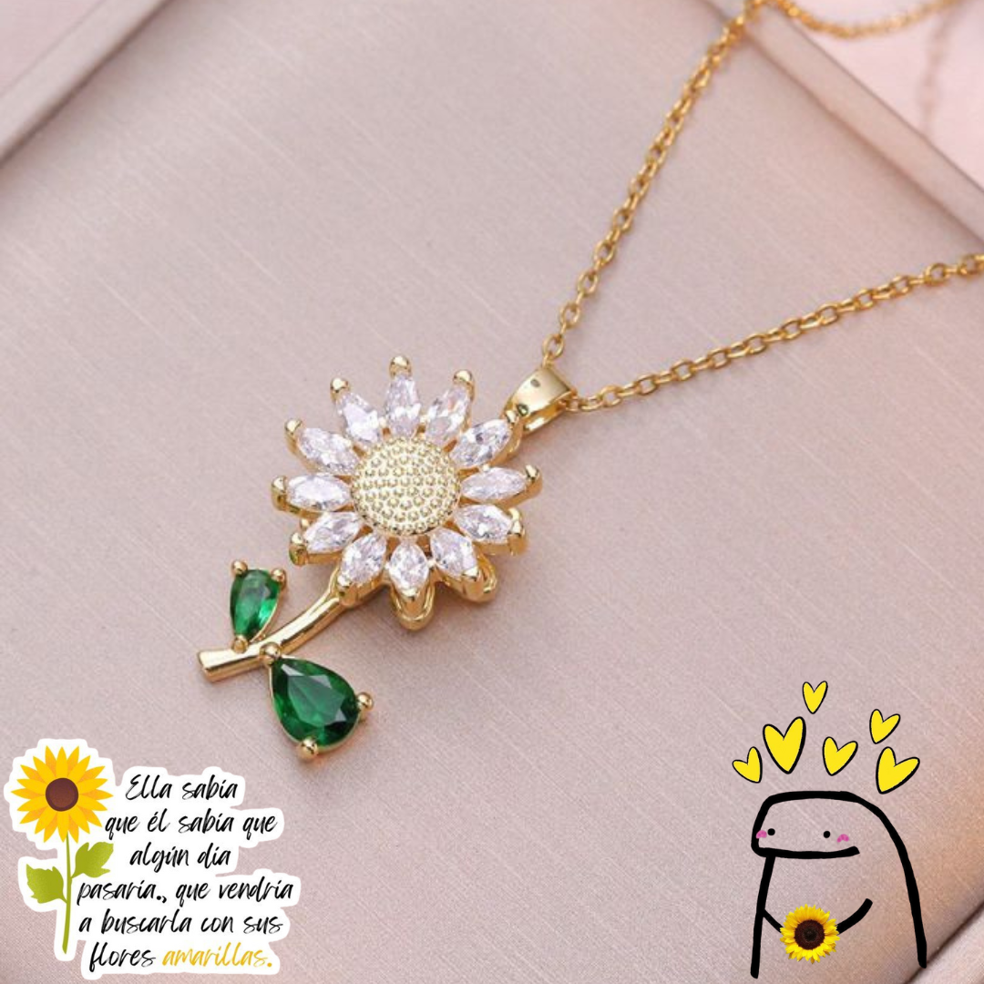 Q25030-Acero Inox Giratorio