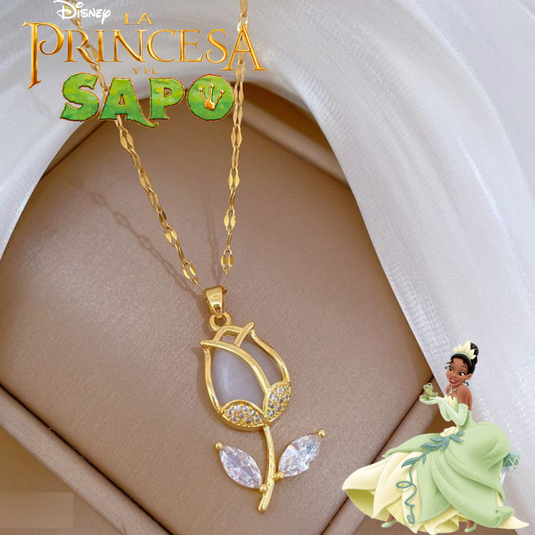 D67479-ACERO INOXIDABLE