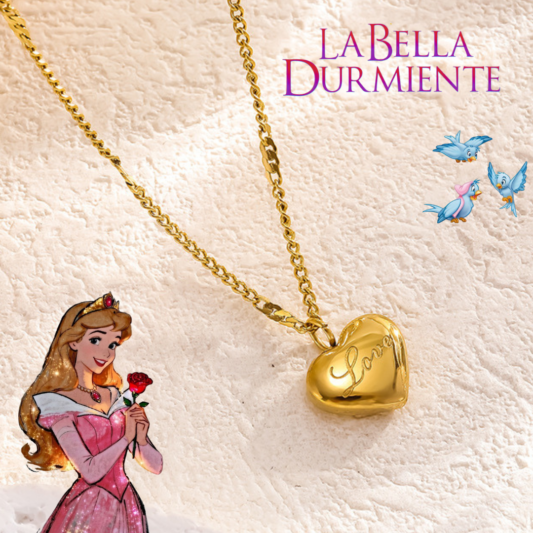 F09582-Acero Inoxidable