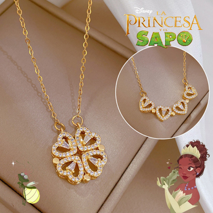 M21322-Acero Inoxidable Magnético doble función