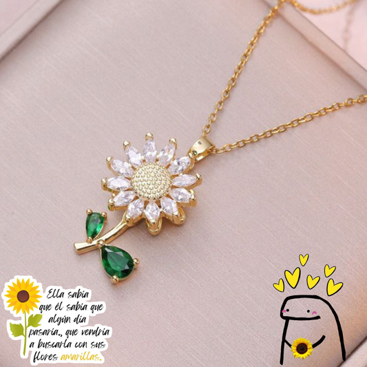 Q25030-Acero Inox Giratorio