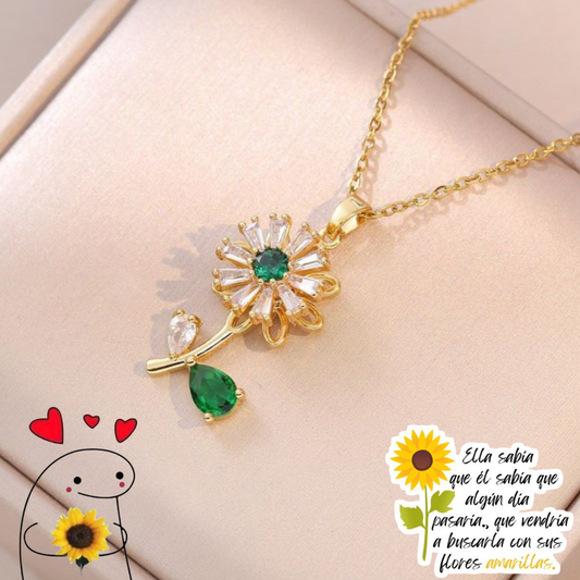 Q25044-Acero Inoxidable Giratorio